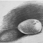Eggs Drawing